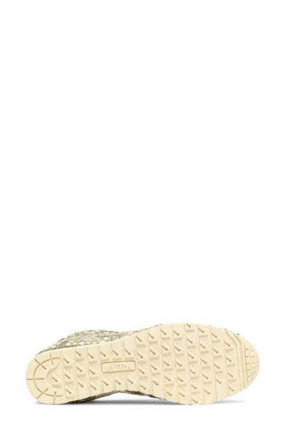 Autry Windspin Low Sneaker In Multi