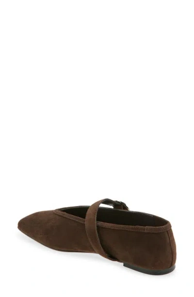 Tony Bianco Bobbi Espresso Suede In Brown