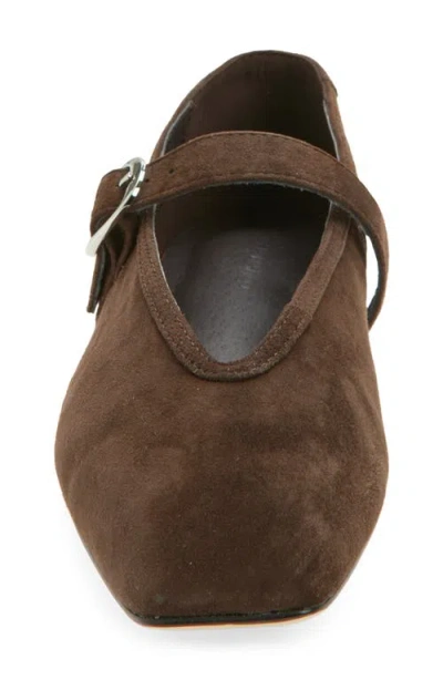 Tony Bianco Bobbi Espresso Suede In Brown