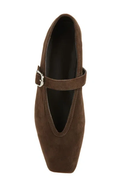 Tony Bianco Bobbi Espresso Suede In Brown