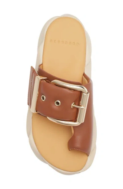 4ccccees Mellow Glow Platform Sandal In Brown