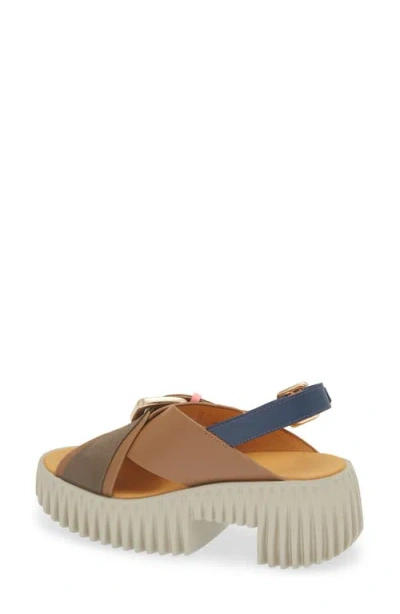 4ccccees Plia Juno Platform Slingback Sandal In Brown