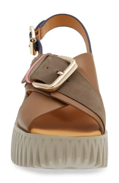 4ccccees Plia Juno Platform Slingback Sandal In Brown