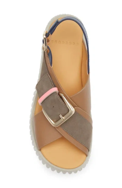 4ccccees Plia Juno Platform Slingback Sandal In Brown