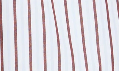 Loulou De Saison Relaxed Fit Shorts With Vertical Brown Stripes In Multi