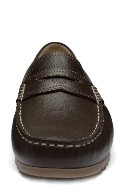 Ara Nomad Penny Loafer In Brown