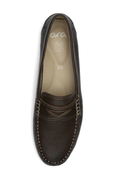 Ara Nomad Penny Loafer In Brown