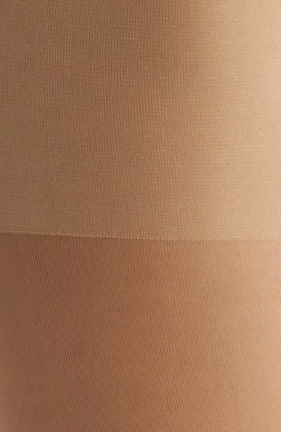 Hue 30 Denier Sheer Coverage Control Top Tights In Neutral