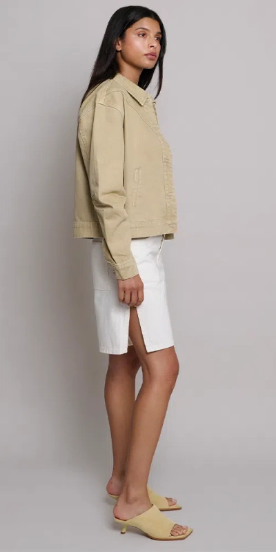 Tt Studios Duke Short White St. In White