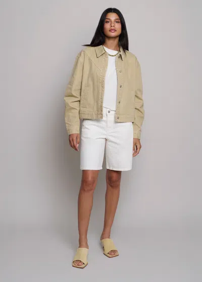 Tt Studios Duke Short White St. In White