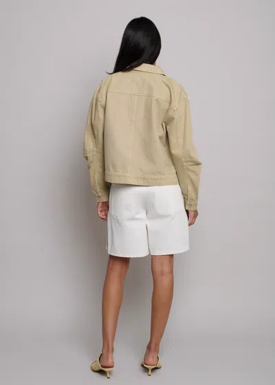 Tt Studios Duke Short White St. In White