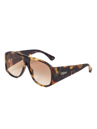 Chloé Teardrop Aviator Sunglasses Tortoiseshell Frame In Multi