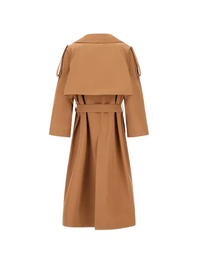 Herno Button Belted Jacket In Brown