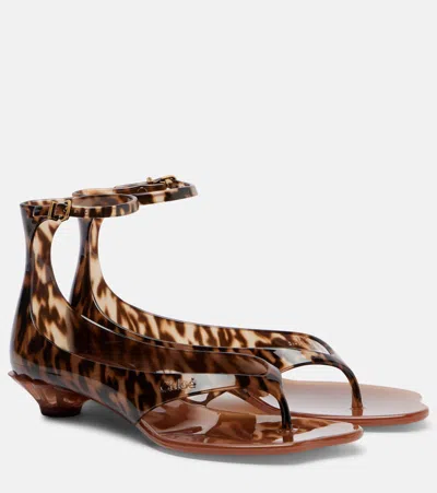 Chloé Jelly Flip-flop Sandals Tropical Print Shell Heel In Brown
