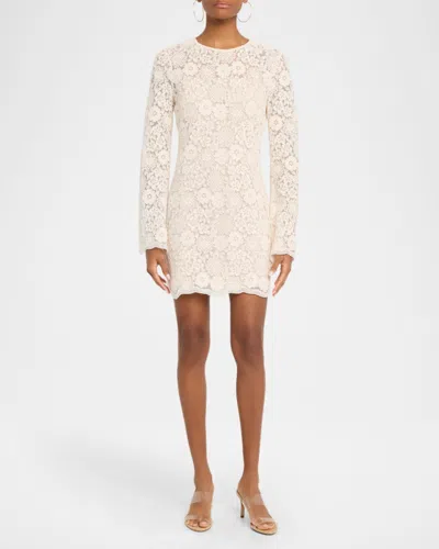 Veronica Beard Teresia Floral Lace A-line Minidress In Neutral