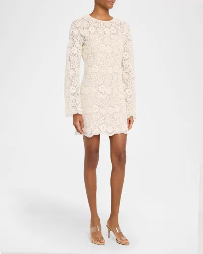 Veronica Beard Teresia Floral Lace A-line Minidress In Neutral