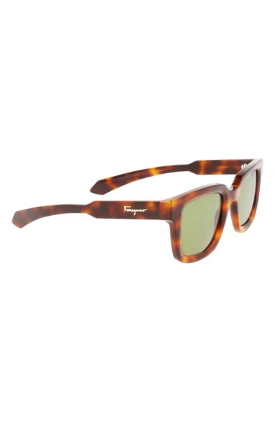Ferragamo 48mm Small Rectangular Sunglasses In Brown