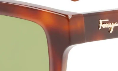 Ferragamo 48mm Small Rectangular Sunglasses In Brown