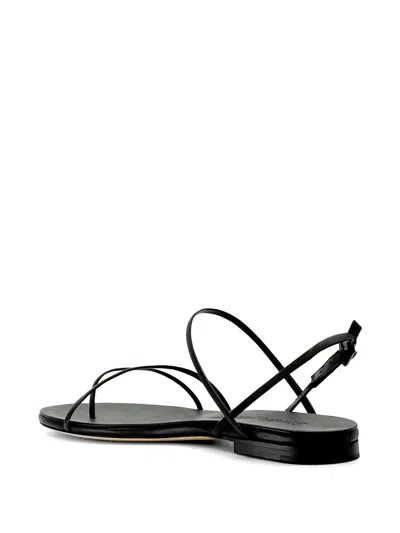 Studio Amelia Helix Multi-strap Sandals In Black