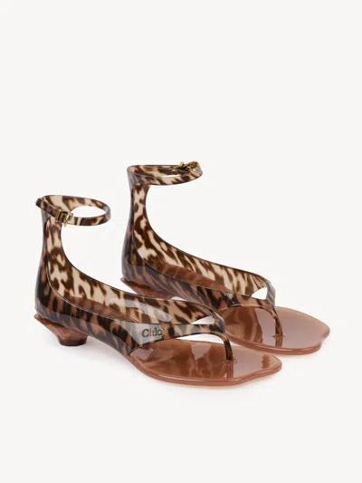 Chloé Jelly Flip-flop Sandals Tropical Print Shell Heel In Animal Print