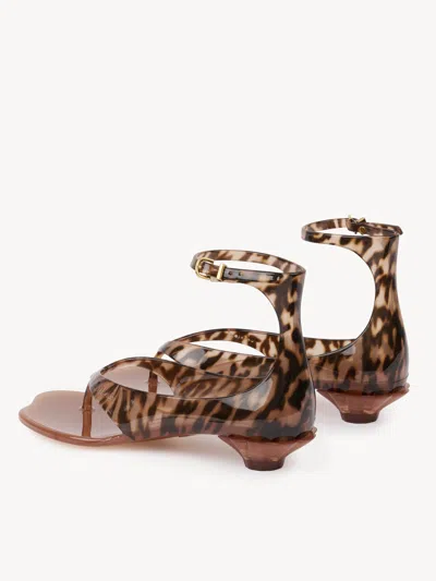Chloé Jelly Flip-flop Sandals Tropical Print Shell Heel In Animal Print