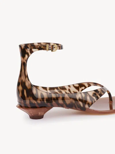 Chloé Jelly Flip-flop Sandals Tropical Print Shell Heel In Animal Print