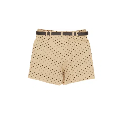 Max Mara Belt Loop Shorts In Brown