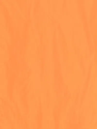 Co.go Orange Belt In Orange