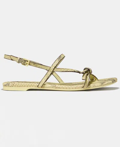 Kate Spade New York Loop Metallic Ankle Strap Sandal In Gold