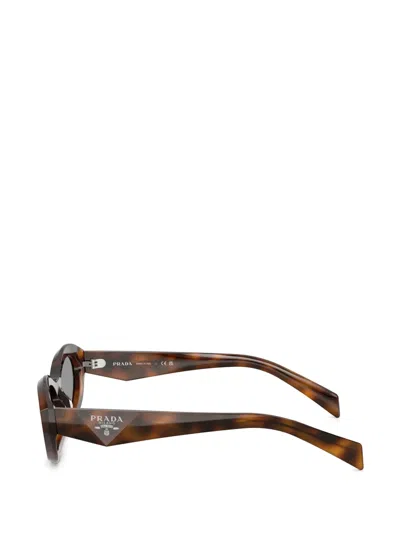 Prada Full Frame Sunglasses In Brown