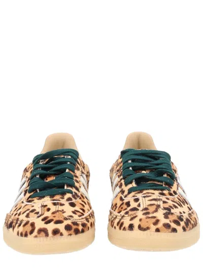 Adidas Originals Golden Goose Golden Goose Ball Star White Nappa Sneakers With Black Star In Multi