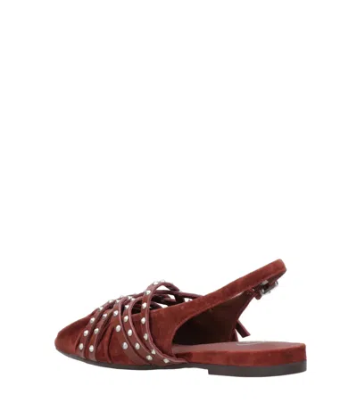 Ash Sandals In Brown