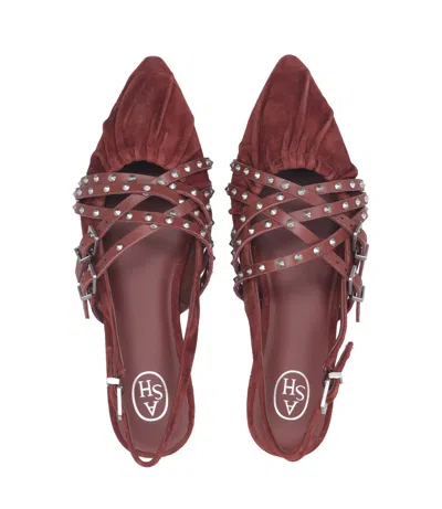 Ash Sandals In Brown