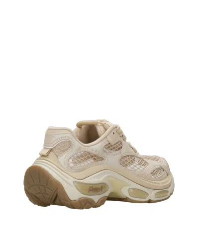 Ash Sneakers In Brown