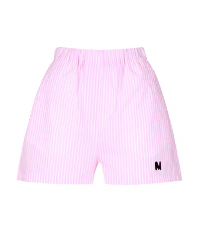 Msgm Striped Shorts In Pink