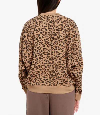 Semicouture Sweaters In Neutral