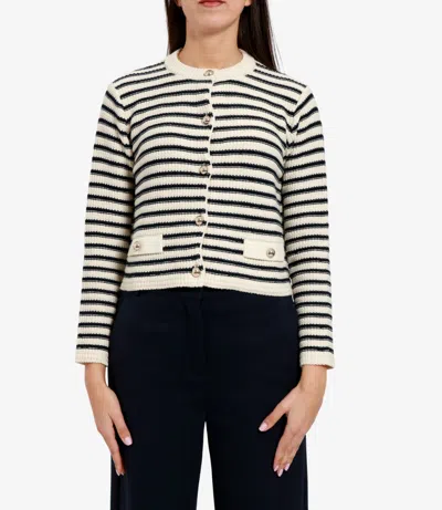 Max Mara Weekend Sweaters In Multi