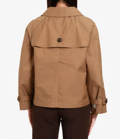 Max Mara The Cube Coats In Brown