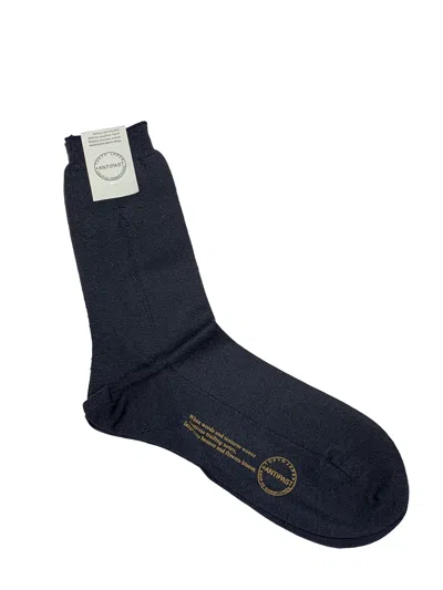 Antipast Basic Socks In Blue