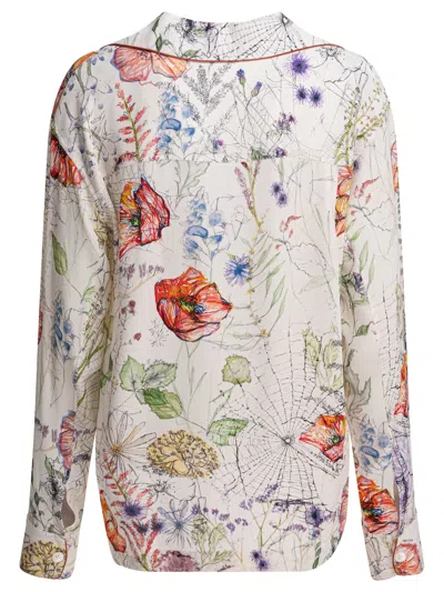 Mc Queen * In Neutral