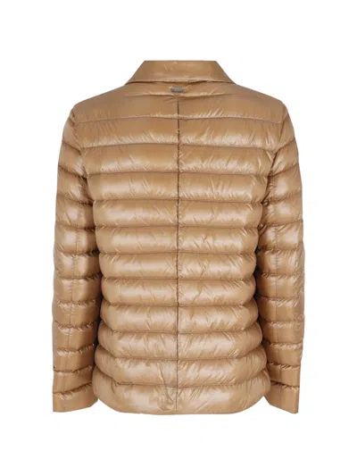 Herno Collared Jacket In Brown