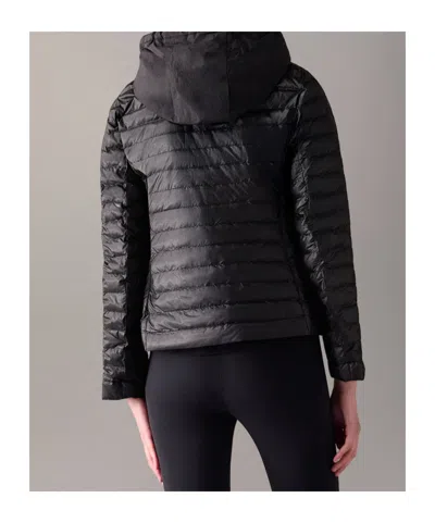 Moose Knuckles Cloud Walker Air Down Jacket In Black