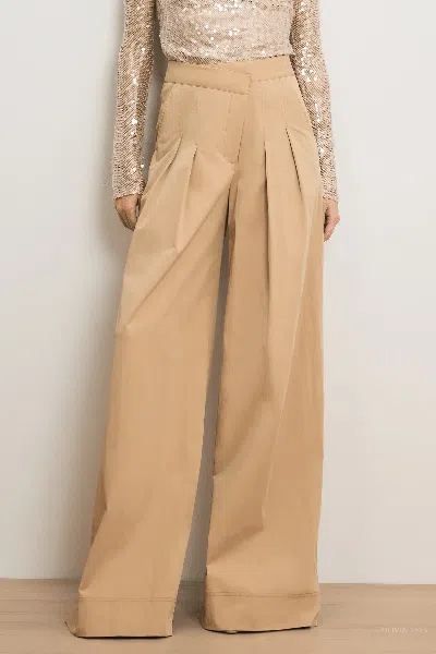 Veronica Beard Heron Pleated Wide Leg Pants In Brown