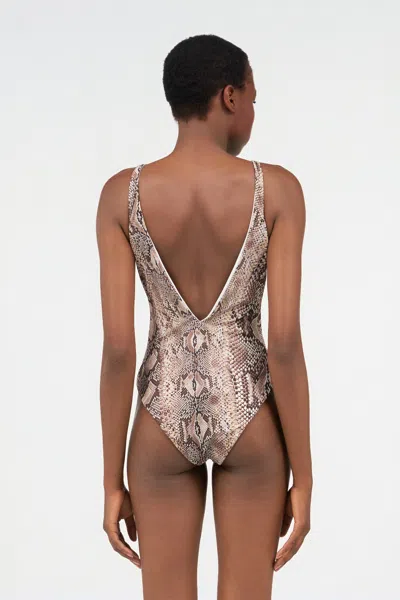 Roberto Cavalli Python Print Swimsuit In Animal Print