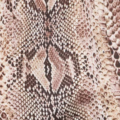 Roberto Cavalli Python Print Swimsuit In Animal Print
