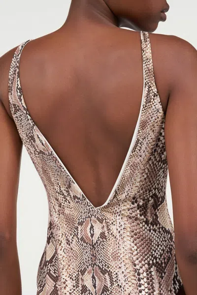 Roberto Cavalli Python Print Swimsuit In Animal Print