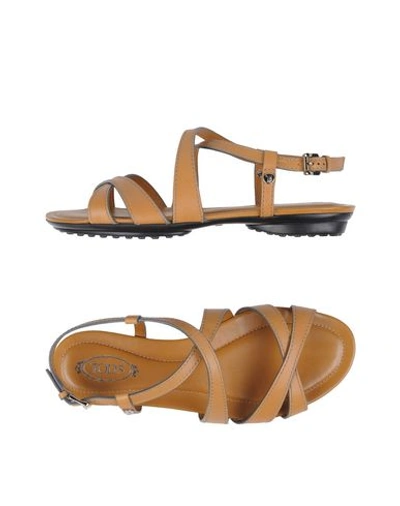 Tod's Sandals In ブラウン
