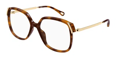 Chloé Square-frame Glasses In Brown