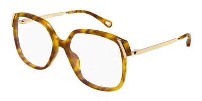 Chloé Square-frame Glasses In Brown