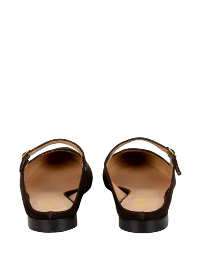Status Pointed-toe Mules In Brown